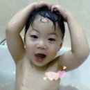 자매빈대떡 - 광명시 | 자매빈대떡