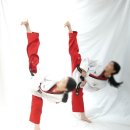 경희대 더함 태권도장 이미지