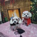 새함안공인중개사사무소 이미지