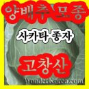 흑둔지 푸드 이미지