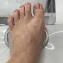 [포근네일 오산점] 귀여운 댕댕이와 함께하는 신혼여행 준비 패디 후기 💅