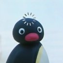 비앤비메디칼 | 오예스암더다이아몬드 흉내낼수없는 세븐틴캐럿 (세븐틴 콘서트 뉴 앙코르(4/4~4/5))