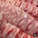 남양주 실내 바다낚시터 이미지