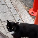 묘성급호텔 이미지