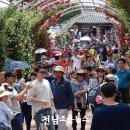 곡성-231 이미지