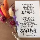 드라이세상 이미지