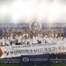 용인대 팀레전드 이미지
