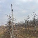 해창농장 이미지