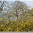 블랙세인트 이미지