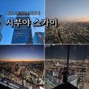 아동교차로(2) | 일본 도쿄여행 시부야스카이 일몰 야경 방문후기