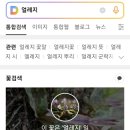 백운산숲속의아침 이미지