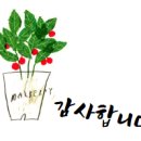 마동주공2단지아파트 이미지