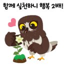 카페;하라리 이미지