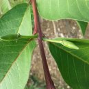 영하슈퍼 이미지