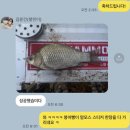 보성(덕산저수지) 조행기 이미지