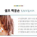 지브라유앤씨 네이버블로그