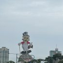 이번주의 메레시의일상 포토덤프