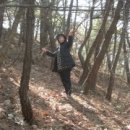 소나무PC 이미지