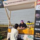 타로1 이미지