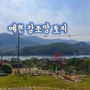 일일일닭 이미지