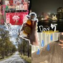 신대륙주유소 | [호주 🌏🇦🇺] 시드니 와이너리 투어 내돈내산 후기 🍷🦘- 헌터밸리 Sobels Wine.. etc
