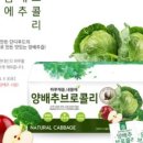 단디푸드 이미지