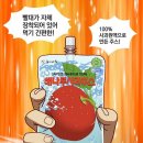 당진시청 이미지