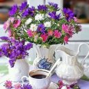 인셀덤뮤즈 이미지