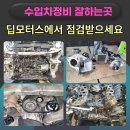 딥모터스 이미지