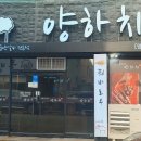 양하치