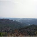 편백인 울산 이미지