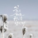 향기 이미지