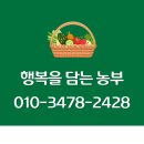 디자인하리