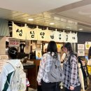 바른시루 | 시루N년차 마스터의 성심당 케익부띠끄 본점 주말 웨이팅 대기시간 | 머스크메론케이크 솔직 후기✨