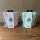 THE SPRING | 스타벅스 실리콘 푸드백 세트, 오픈런 후기 및 꿀팁 총정리 가격, 구매 방법, 실물 후기