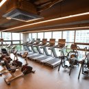 와일드짐 이미지