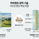 오너카하우스 이미지