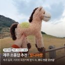 반디의류 | 제주 소품샵 제주도 기념품 서귀포 밭디마켓