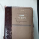 고농축 스테로이드의 오랜 처방은 사람을 개똥철학자로 만든다