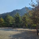 그루터기 캠핑장 이미지