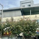 수연다방 이미지