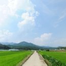 화산면611 이미지