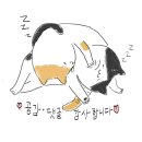 도연회포차 이미지