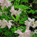 논산중학교 이미지