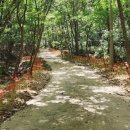 보석사로 이미지