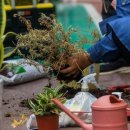 도봉-도봉-2065 이미지