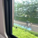 아미서가 이미지