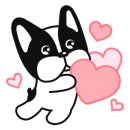 양양오션뷰애견펜션바다빛무지개 이미지