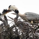 공간 -모정 이미지