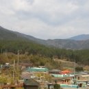 도선한우 이미지